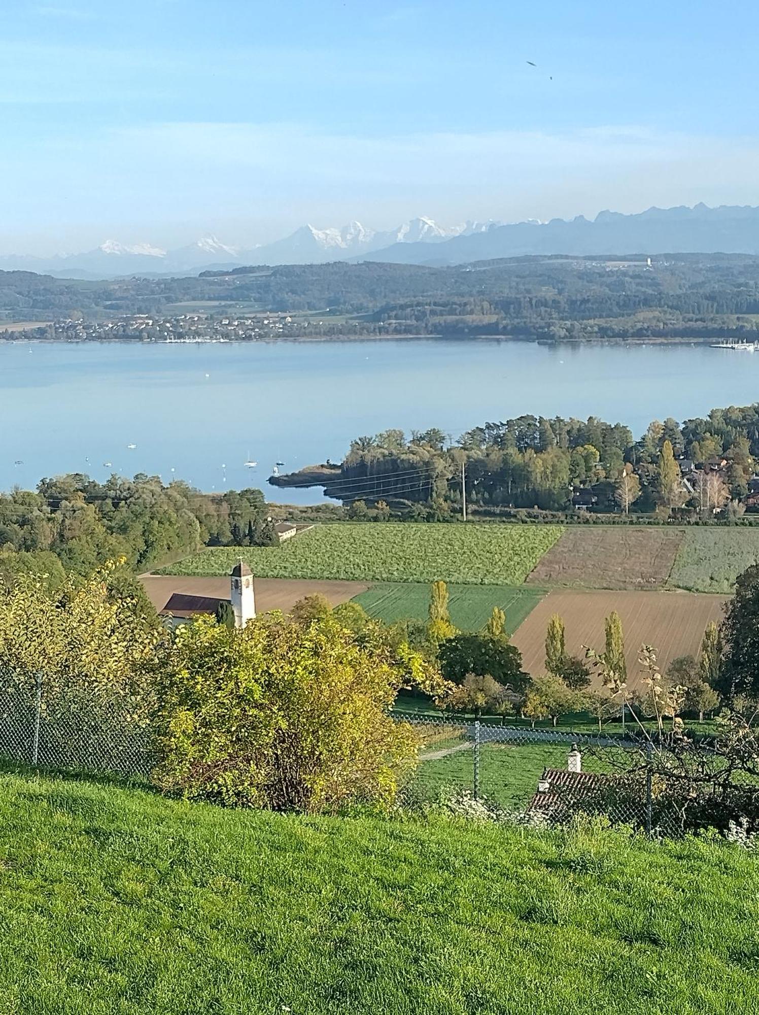 לינה וארוחת בוקר Vully-les-Lacs Swiss Borzoi House מראה חיצוני תמונה