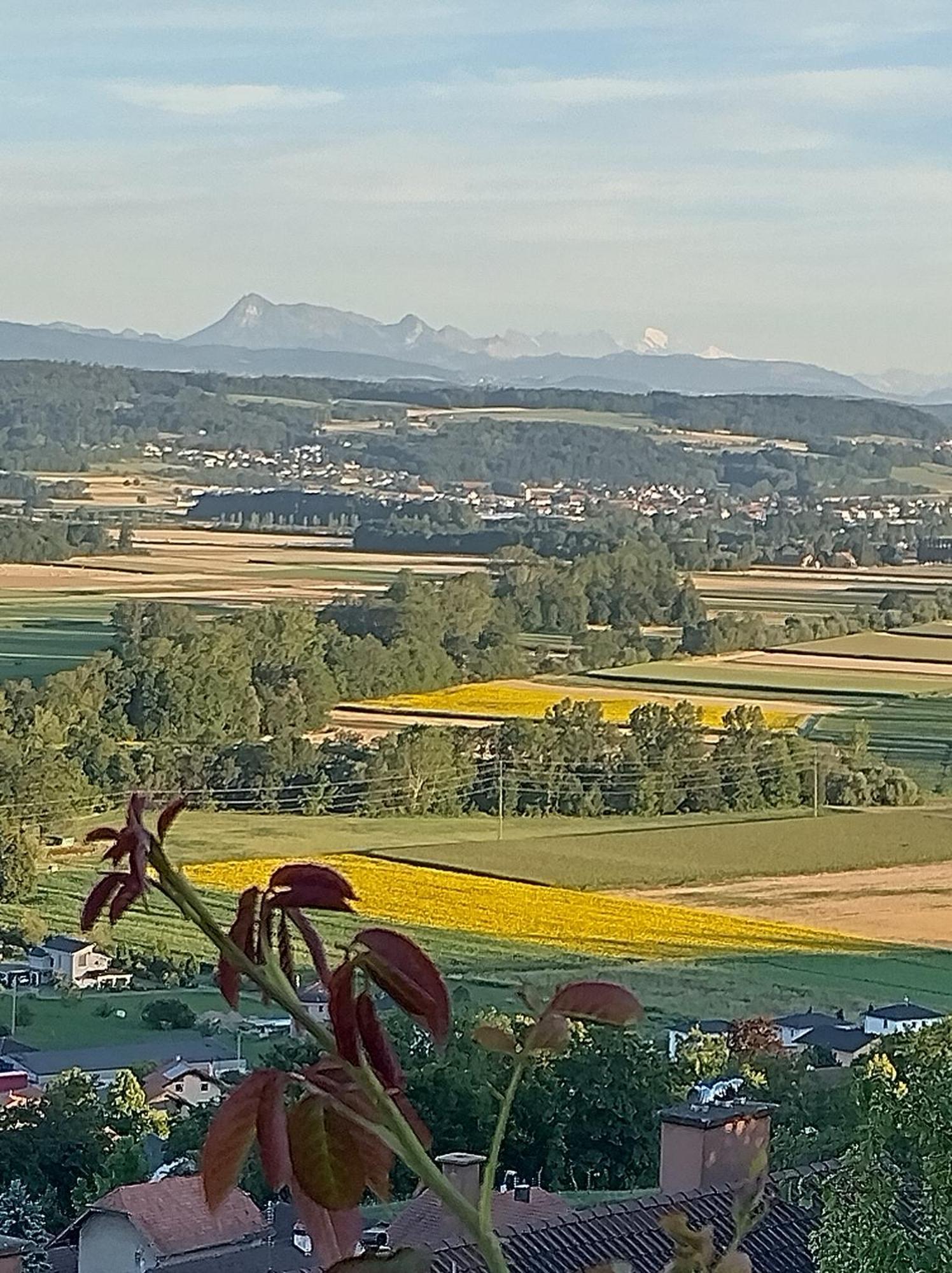לינה וארוחת בוקר Vully-les-Lacs Swiss Borzoi House מראה חיצוני תמונה